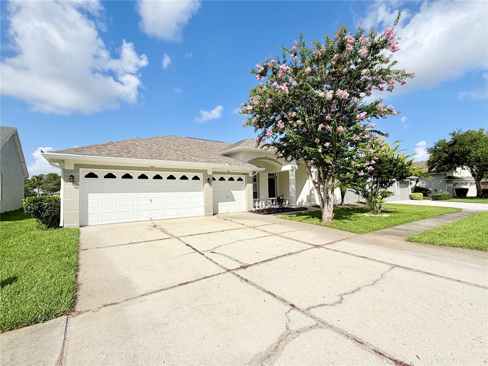 14606 Coral Berry Drive Tampa FL 33626 TB8523876 image3