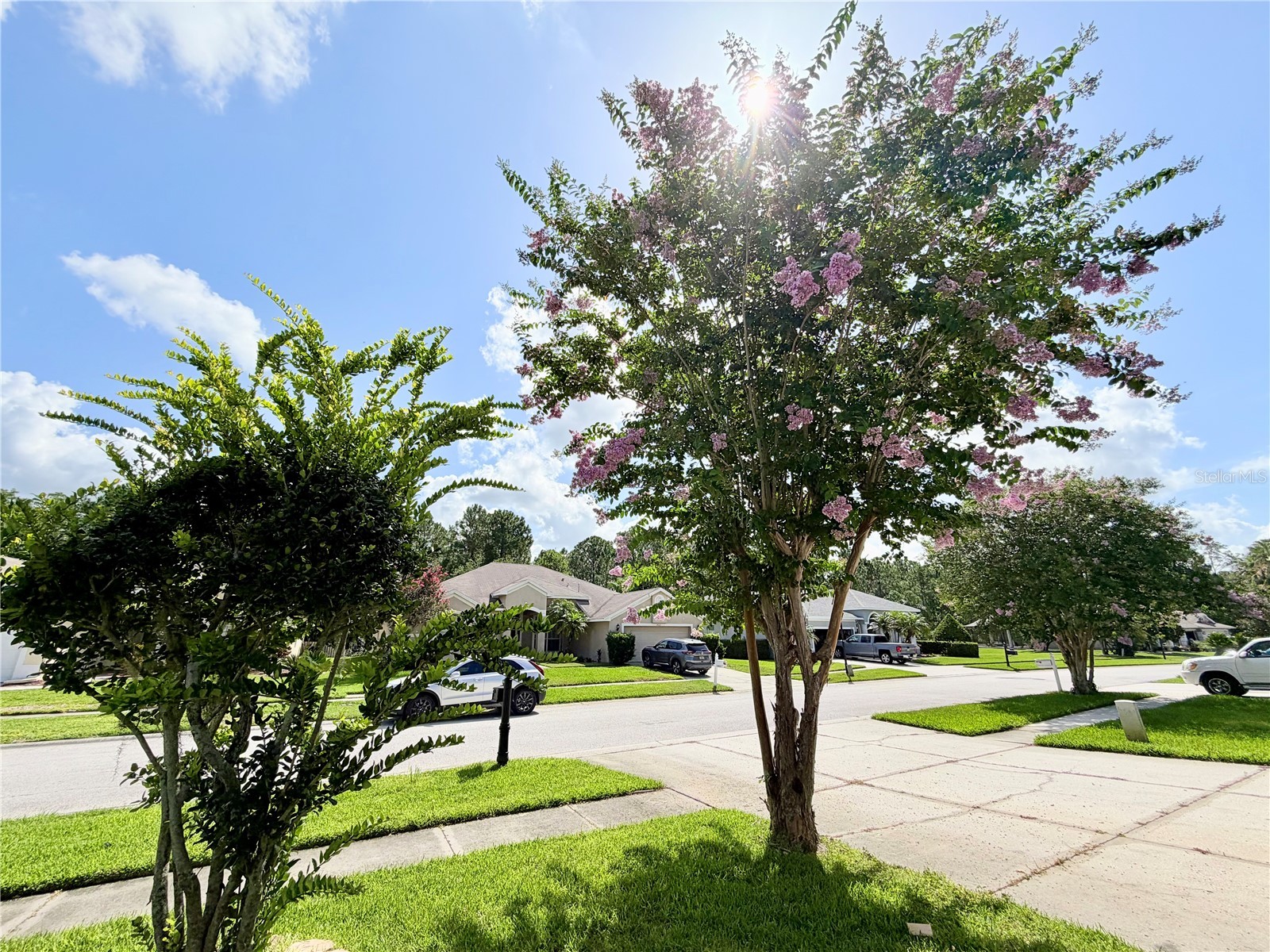 14606 Coral Berry Drive Tampa FL 33626 TB8523876 image39