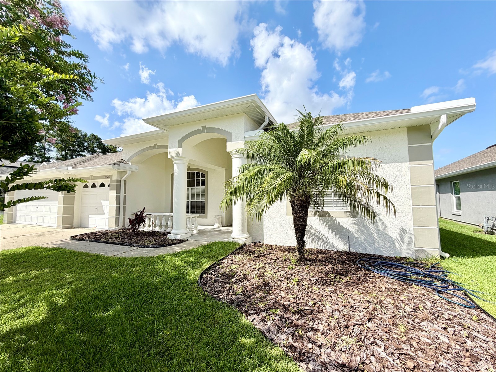 14606 Coral Berry Drive Tampa FL 33626 TB8523876 image4