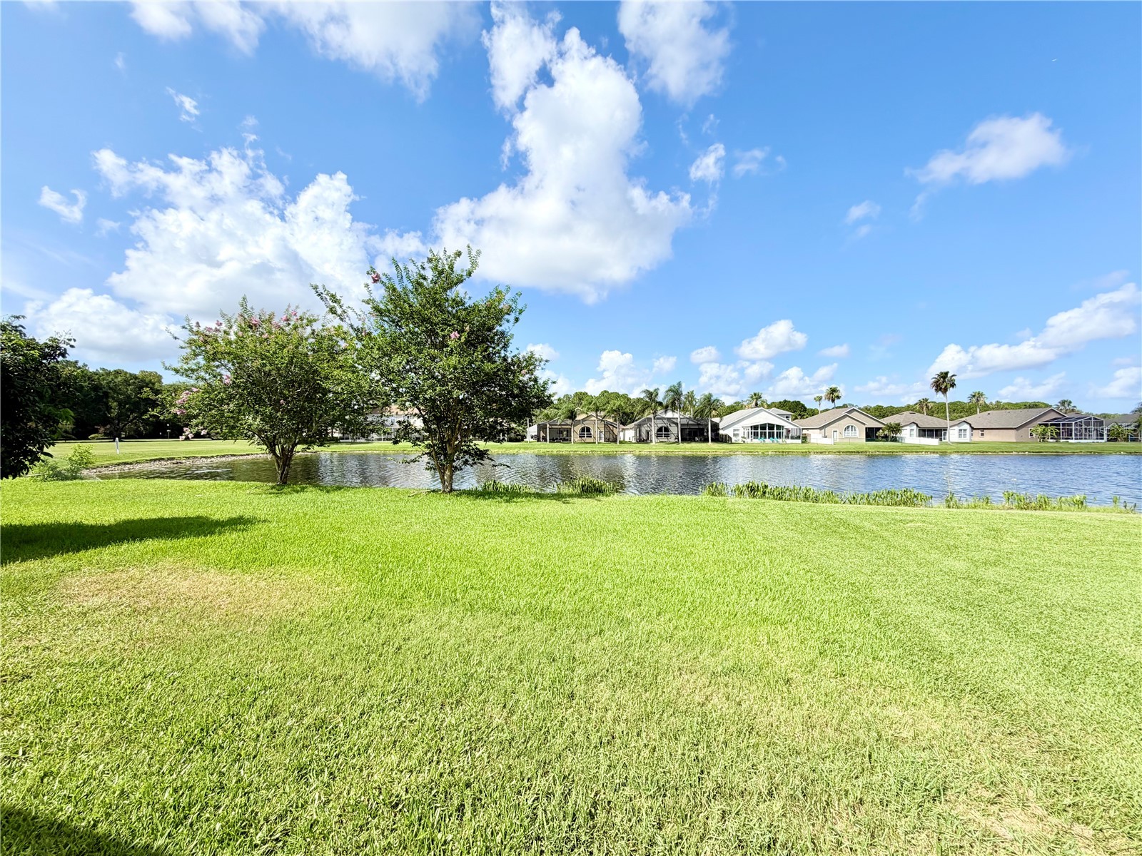 14606 Coral Berry Drive Tampa FL 33626 TB8523876 image8
