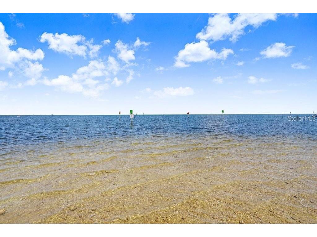 14606 Coral Drive Hudson FL 34667 TB8494161 image46
