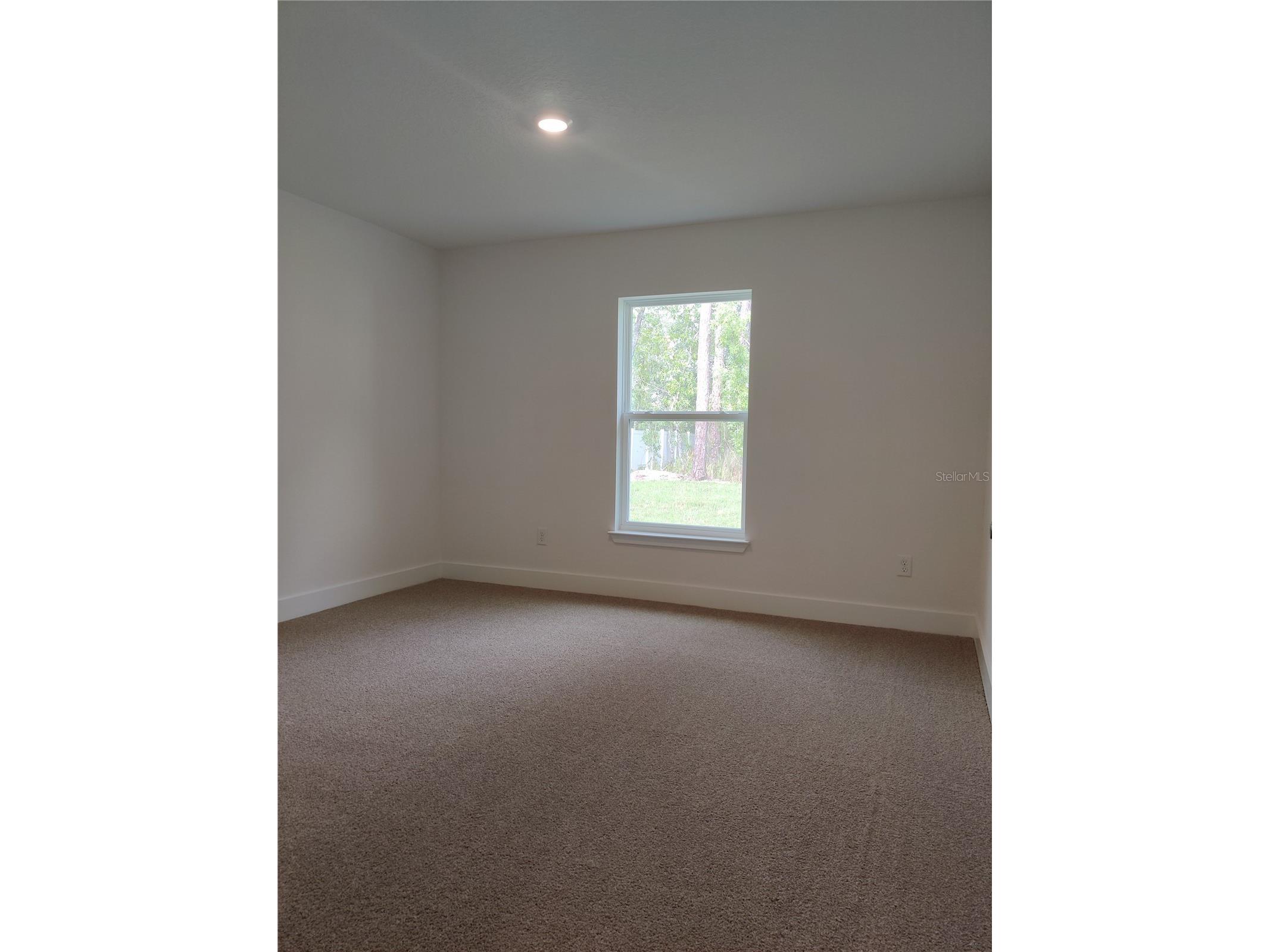 14606 Mocking Wren Road Weeki Wachee FL 34614 OM719938 image10