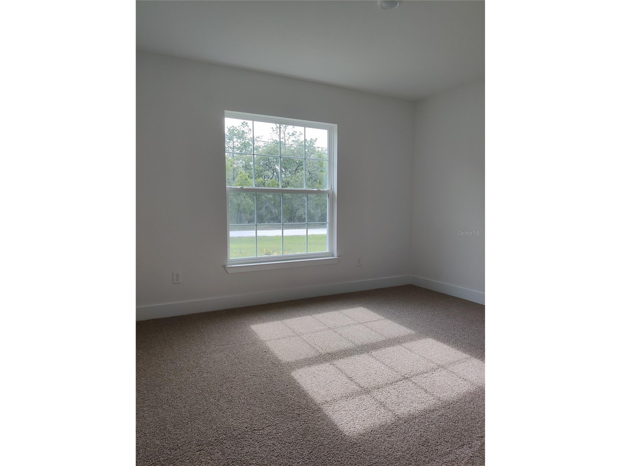 14606 Mocking Wren Road Weeki Wachee FL 34614 OM719938 image11