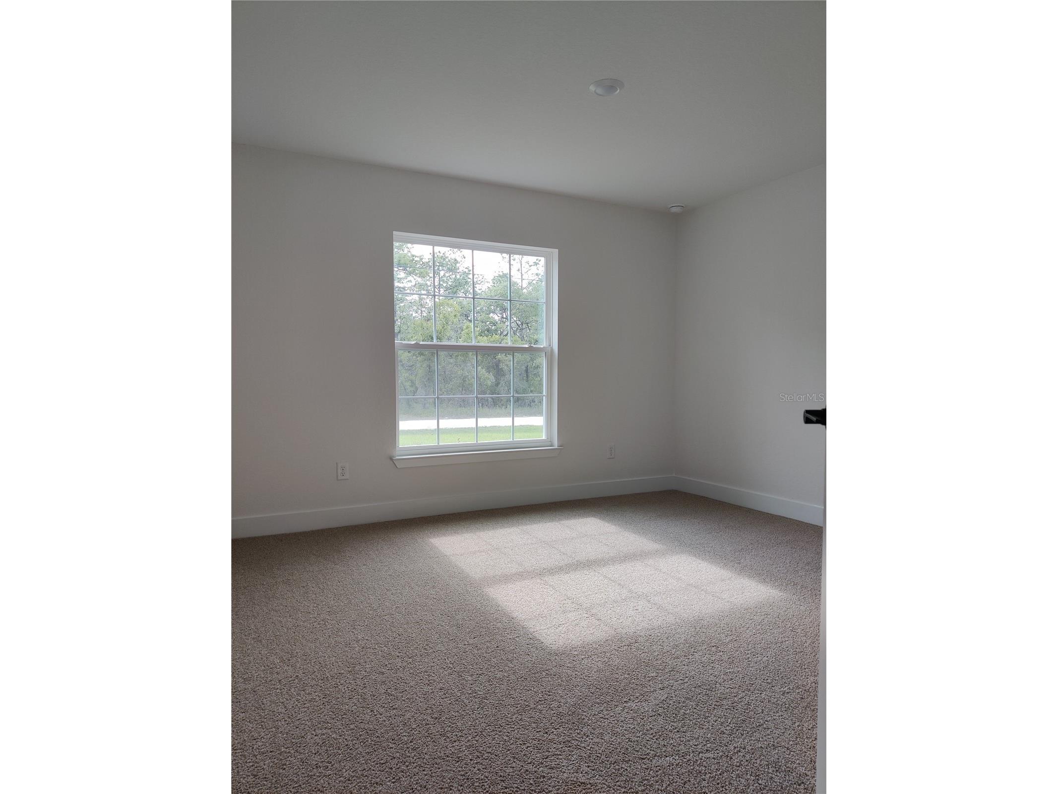 14606 Mocking Wren Road Weeki Wachee FL 34614 OM719938 image9