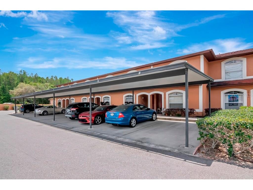 14607 Par Club Circle Tampa FL 33618 U8158828 image1