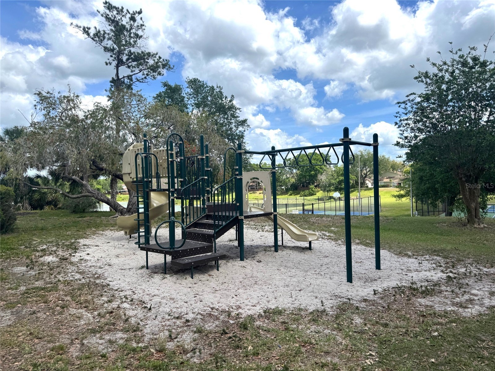 14607 Pine Glen Circle Lutz FL 33559 TB8504177 image14