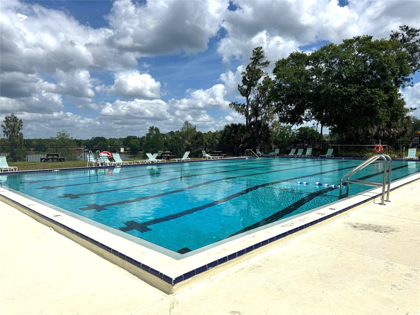 14607 Pine Glen Circle Lutz FL 33559 TB8504177 image16