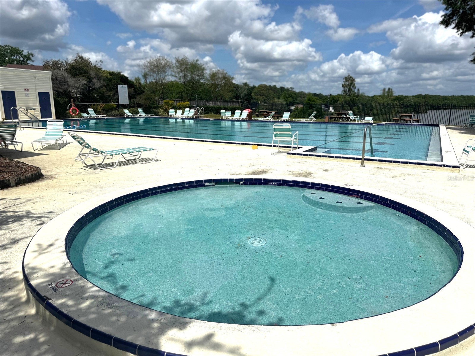 14607 Pine Glen Circle Lutz FL 33559 TB8504177 image17