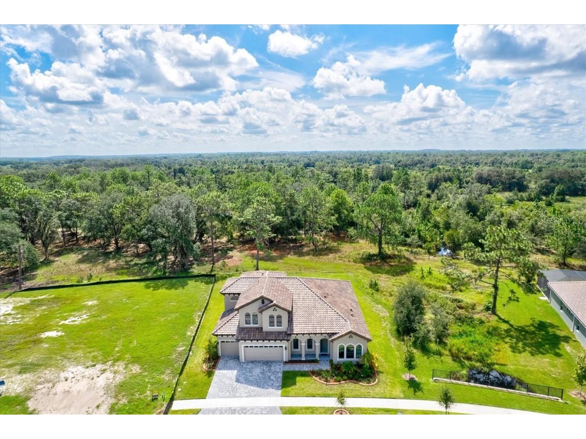14607 Swiss Bridge Drive Lithia FL 33547 A4625127 image2