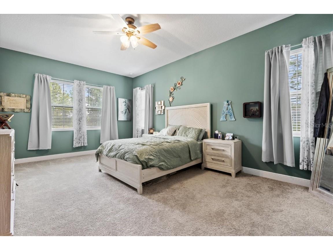 14607 Swiss Bridge Drive Lithia FL 33547 A4625127 image22