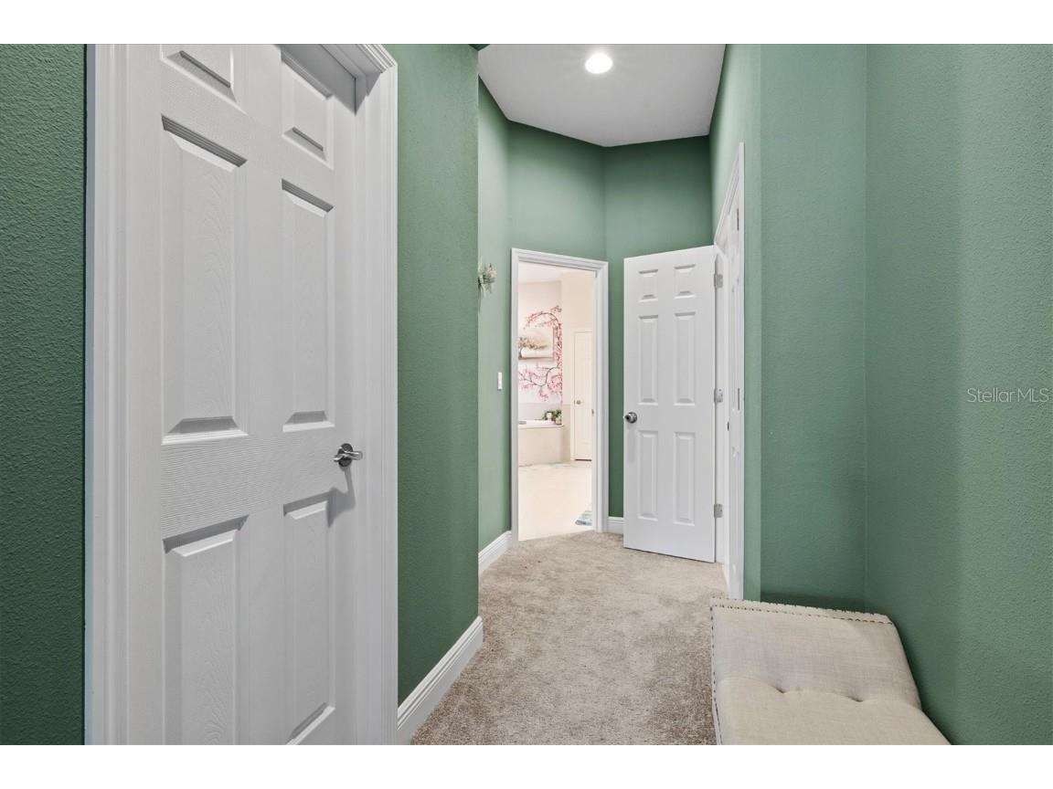 14607 Swiss Bridge Drive Lithia FL 33547 A4625127 image25