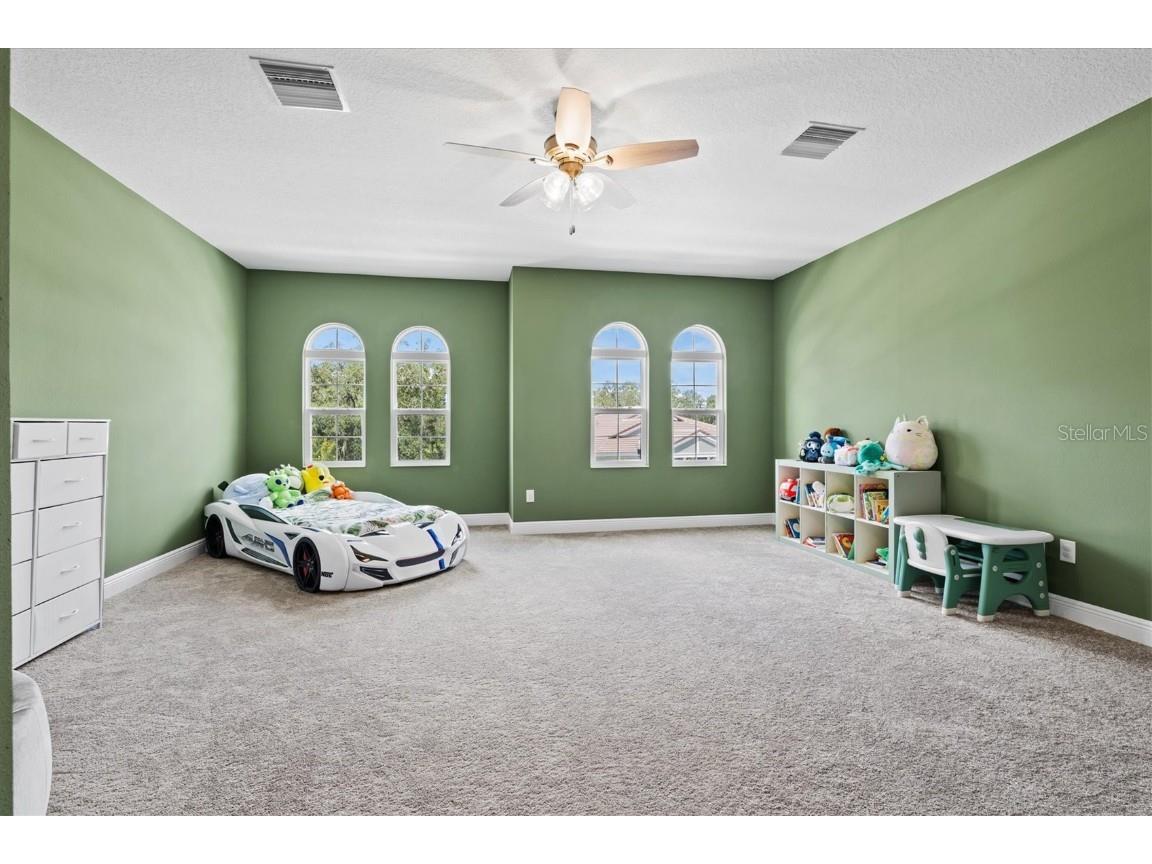 14607 Swiss Bridge Drive Lithia FL 33547 A4625127 image37