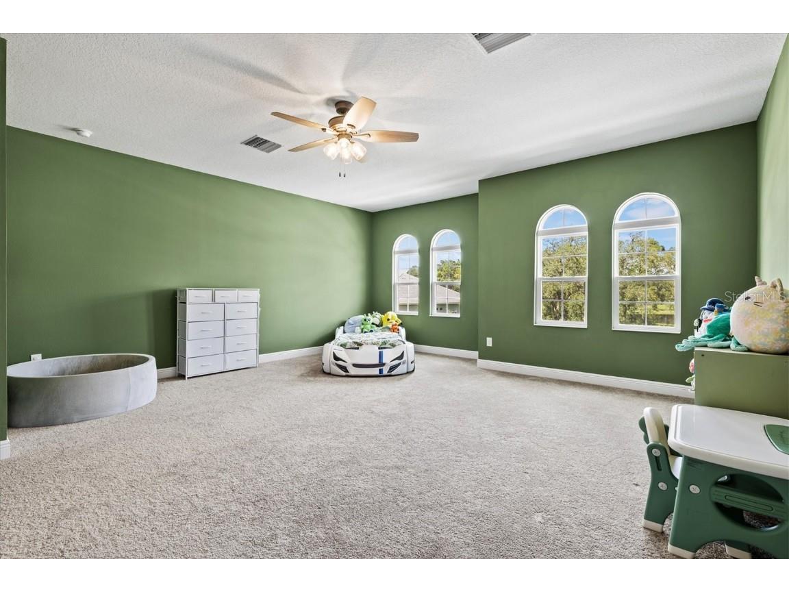 14607 Swiss Bridge Drive Lithia FL 33547 A4625127 image38