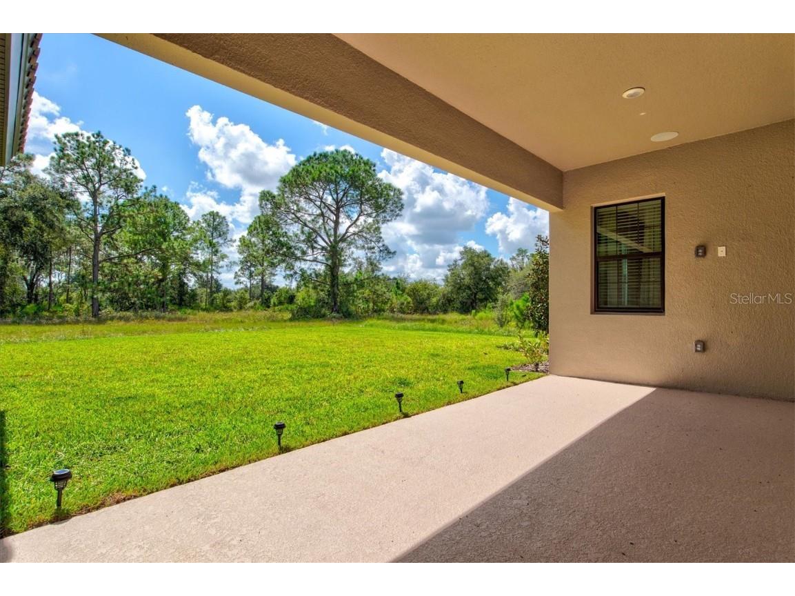 14607 Swiss Bridge Drive Lithia FL 33547 A4625127 image50