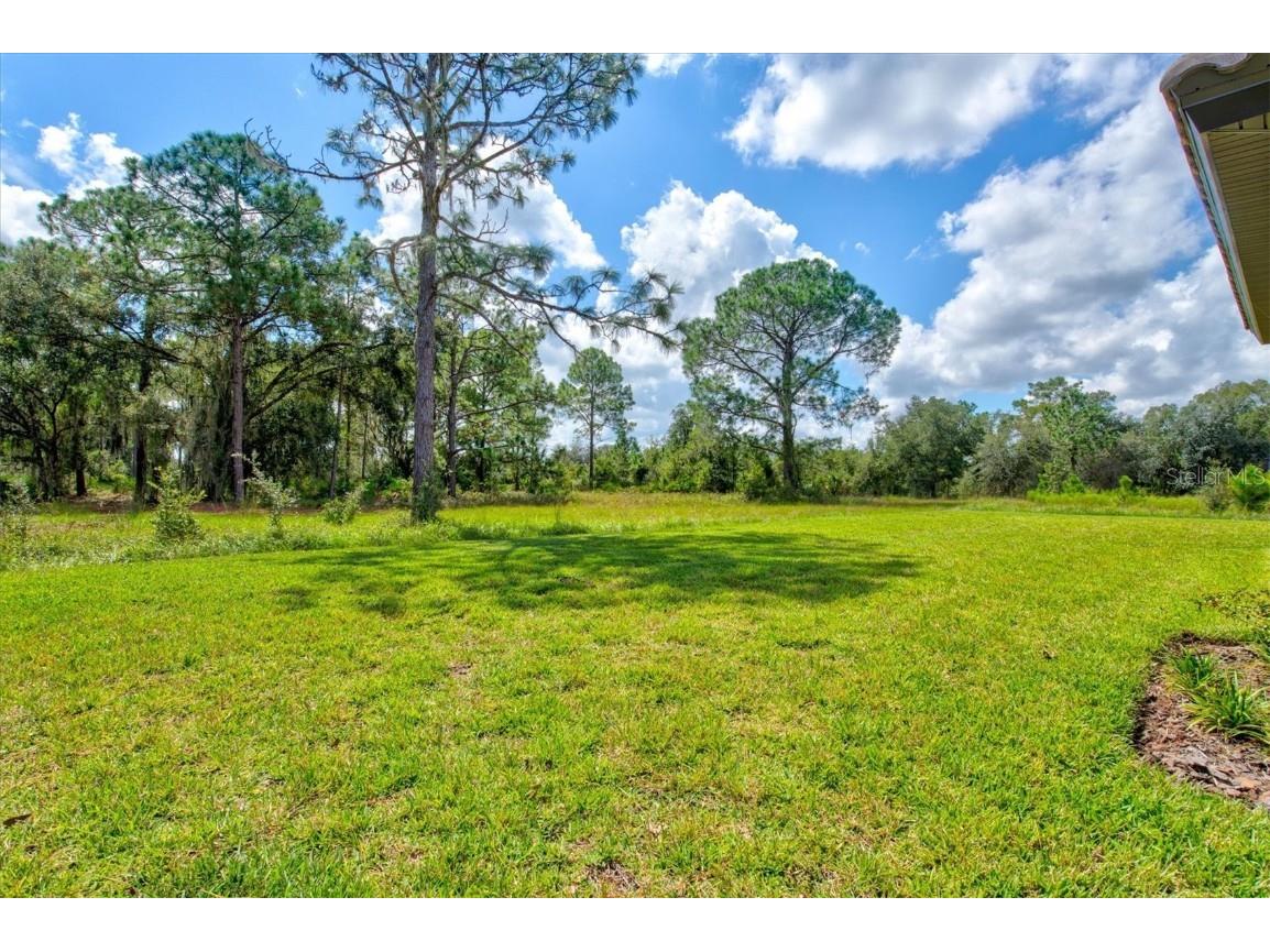 14607 Swiss Bridge Drive Lithia FL 33547 A4625127 image51