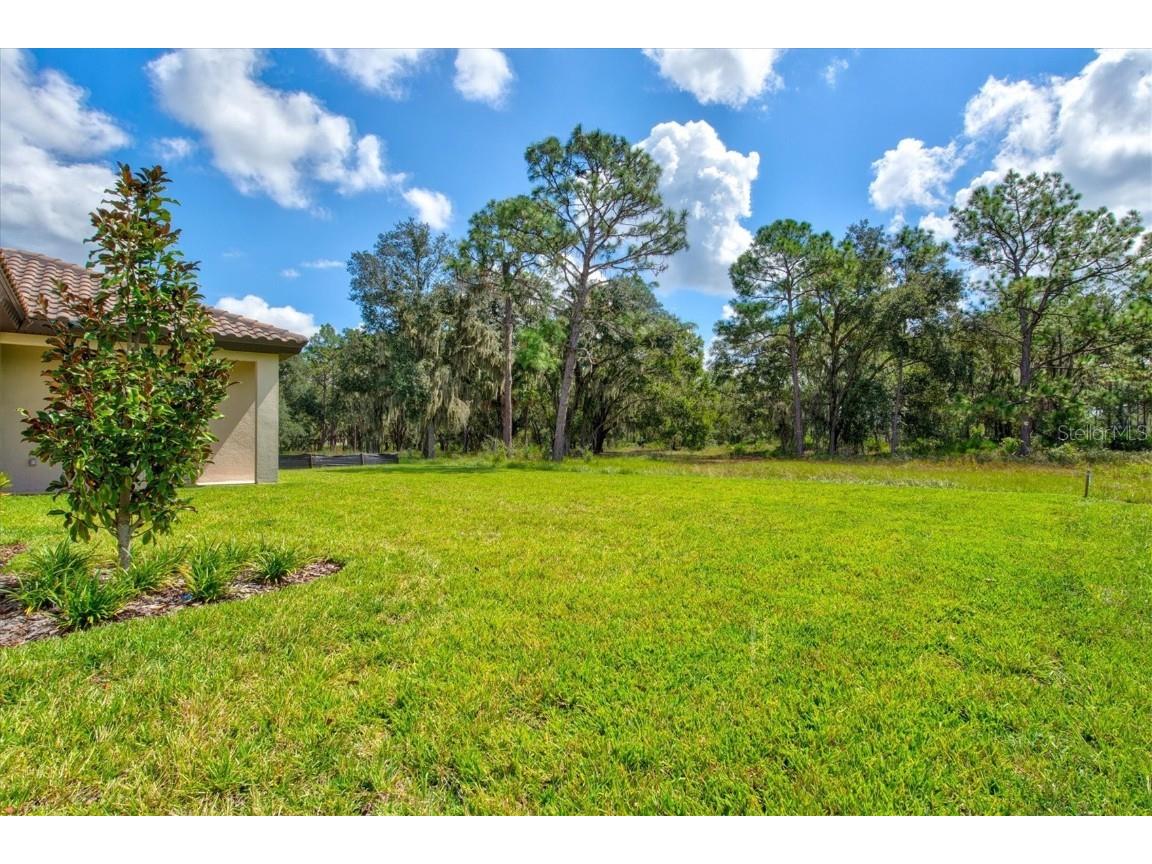 14607 Swiss Bridge Drive Lithia FL 33547 A4625127 image54