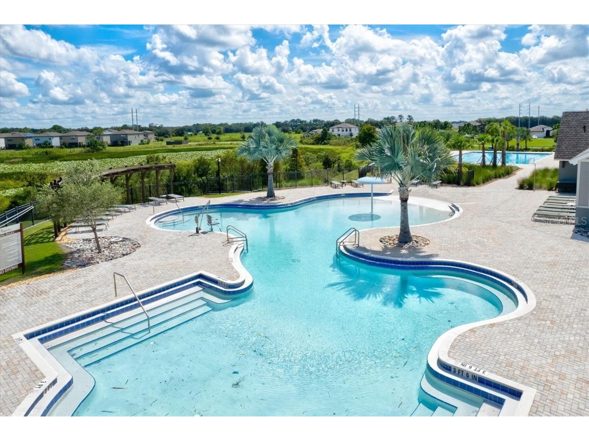 14607 Swiss Bridge Drive Lithia FL 33547 A4625127 image57