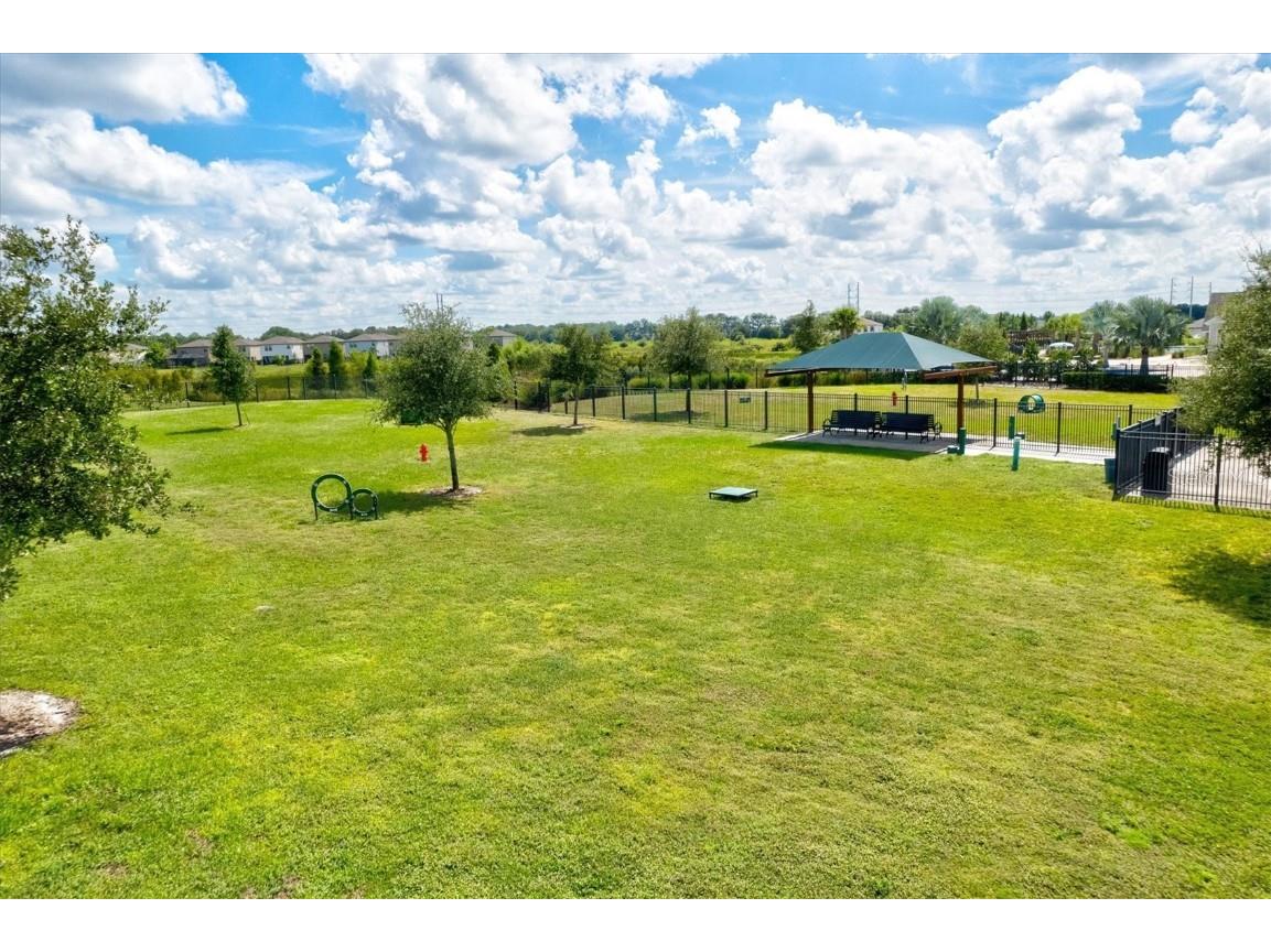 14607 Swiss Bridge Drive Lithia FL 33547 A4625127 image67