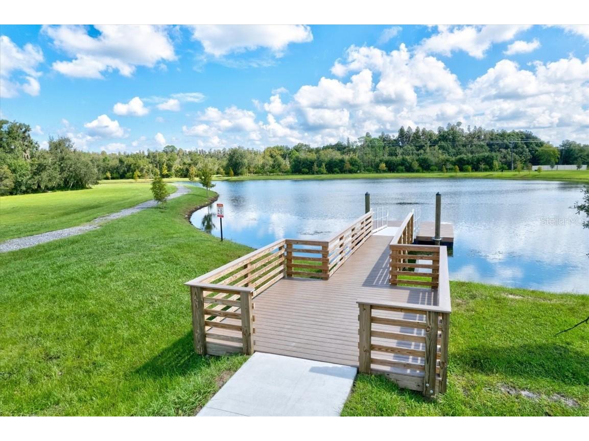 14607 Swiss Bridge Drive Lithia FL 33547 A4625127 image68