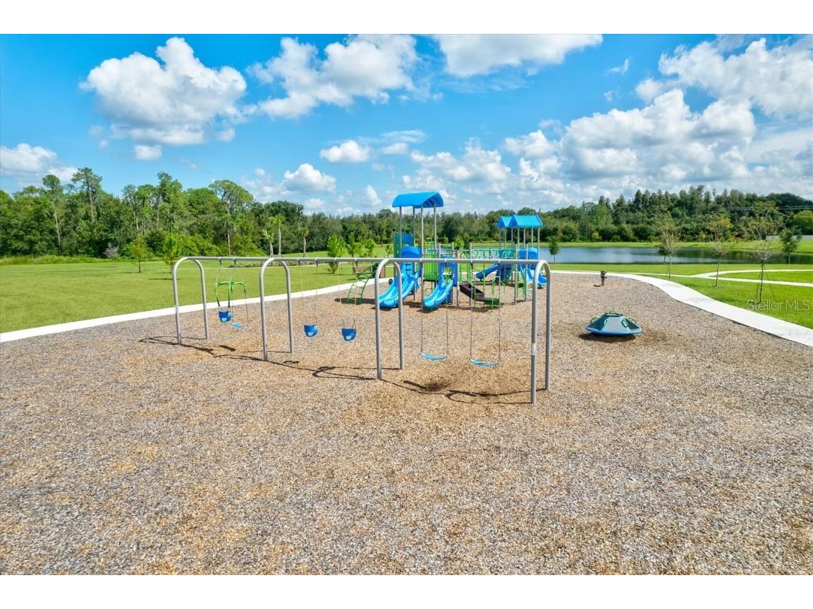 14607 Swiss Bridge Drive Lithia FL 33547 A4625127 image69