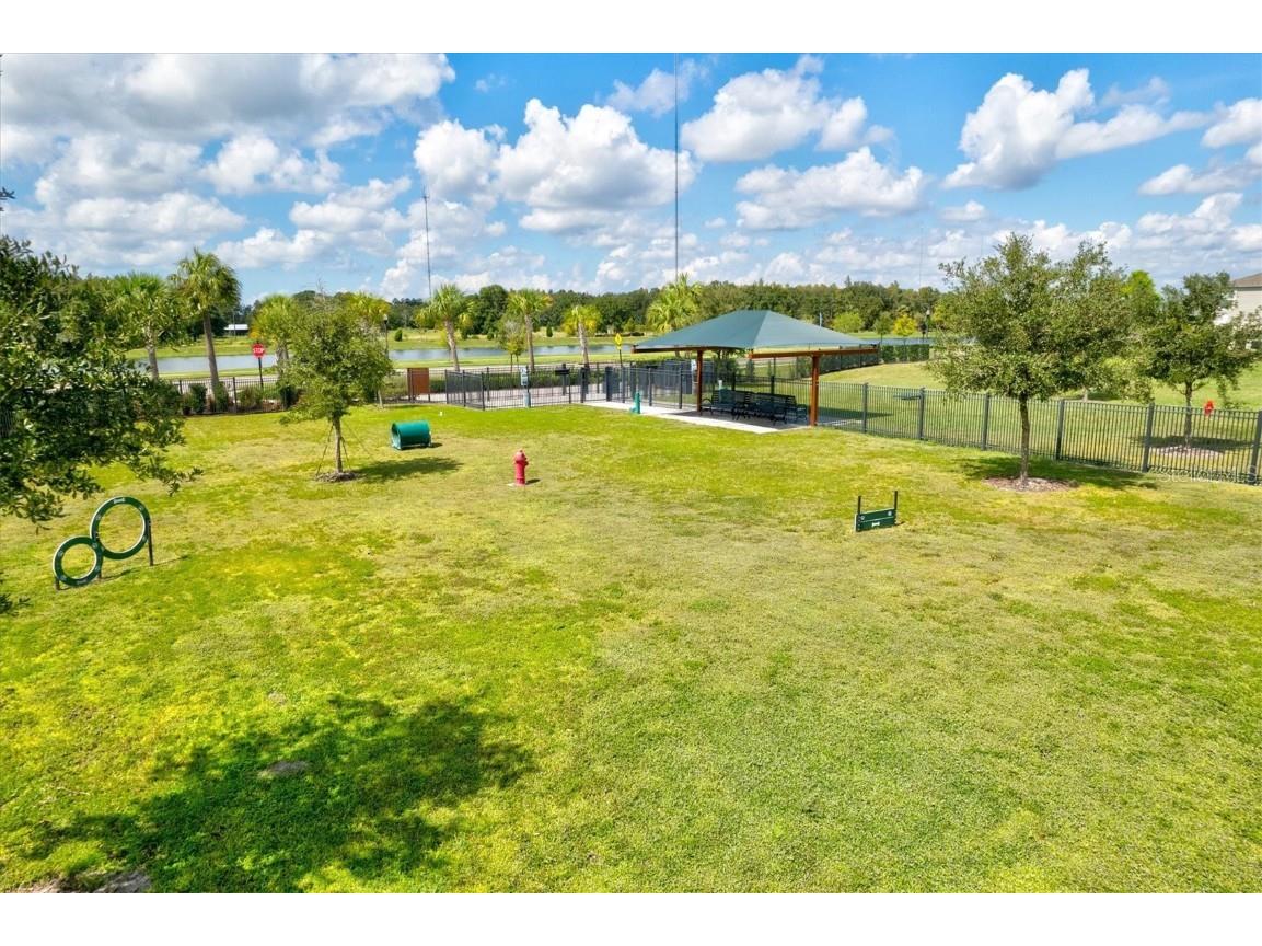 14607 Swiss Bridge Drive Lithia FL 33547 A4625127 image79