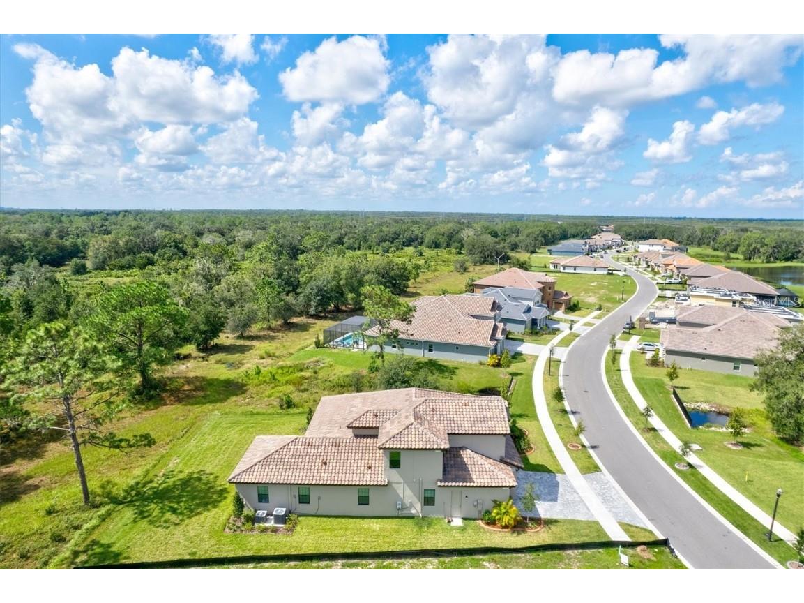 14607 Swiss Bridge Drive Lithia FL 33547 A4625127 image80