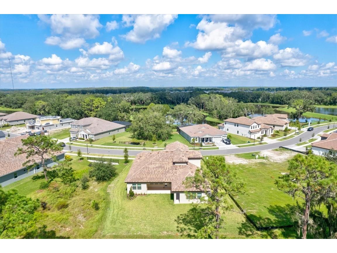 14607 Swiss Bridge Drive Lithia FL 33547 A4625127 image81