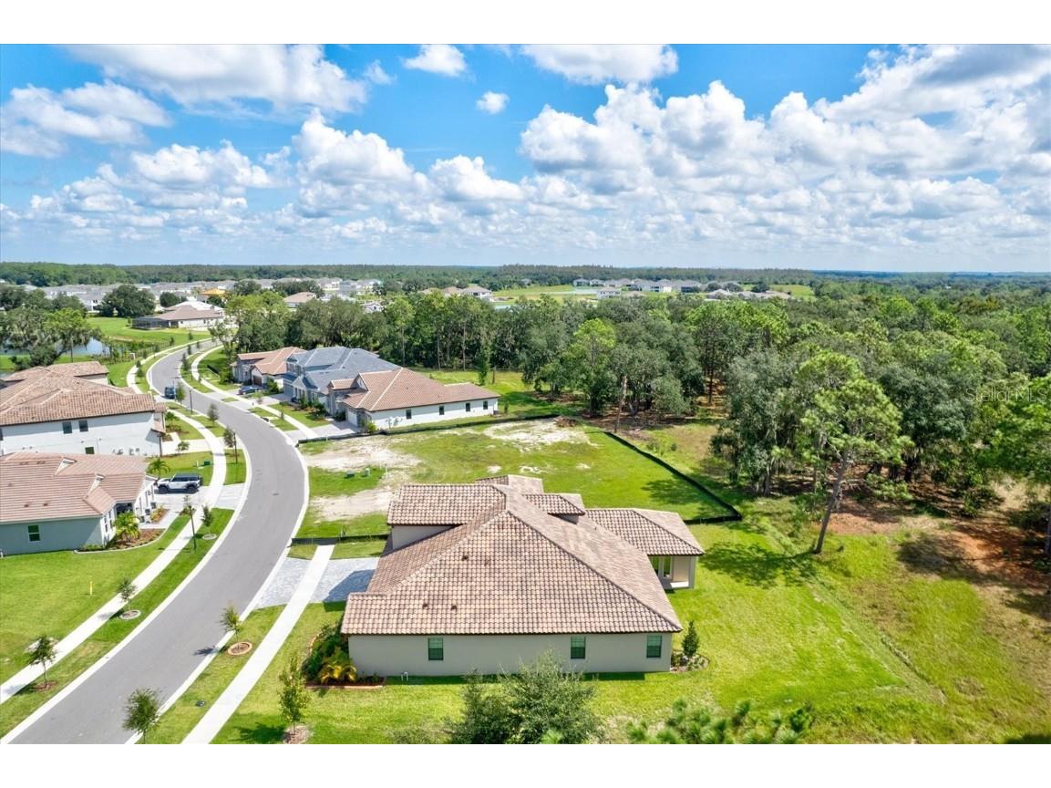 14607 Swiss Bridge Drive Lithia FL 33547 A4625127 image82