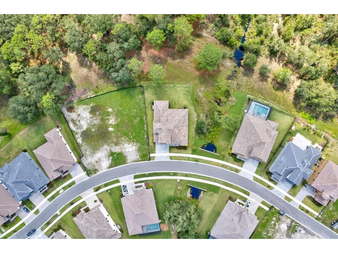 14607 Swiss Bridge Drive Lithia FL 33547 A4625127 image84