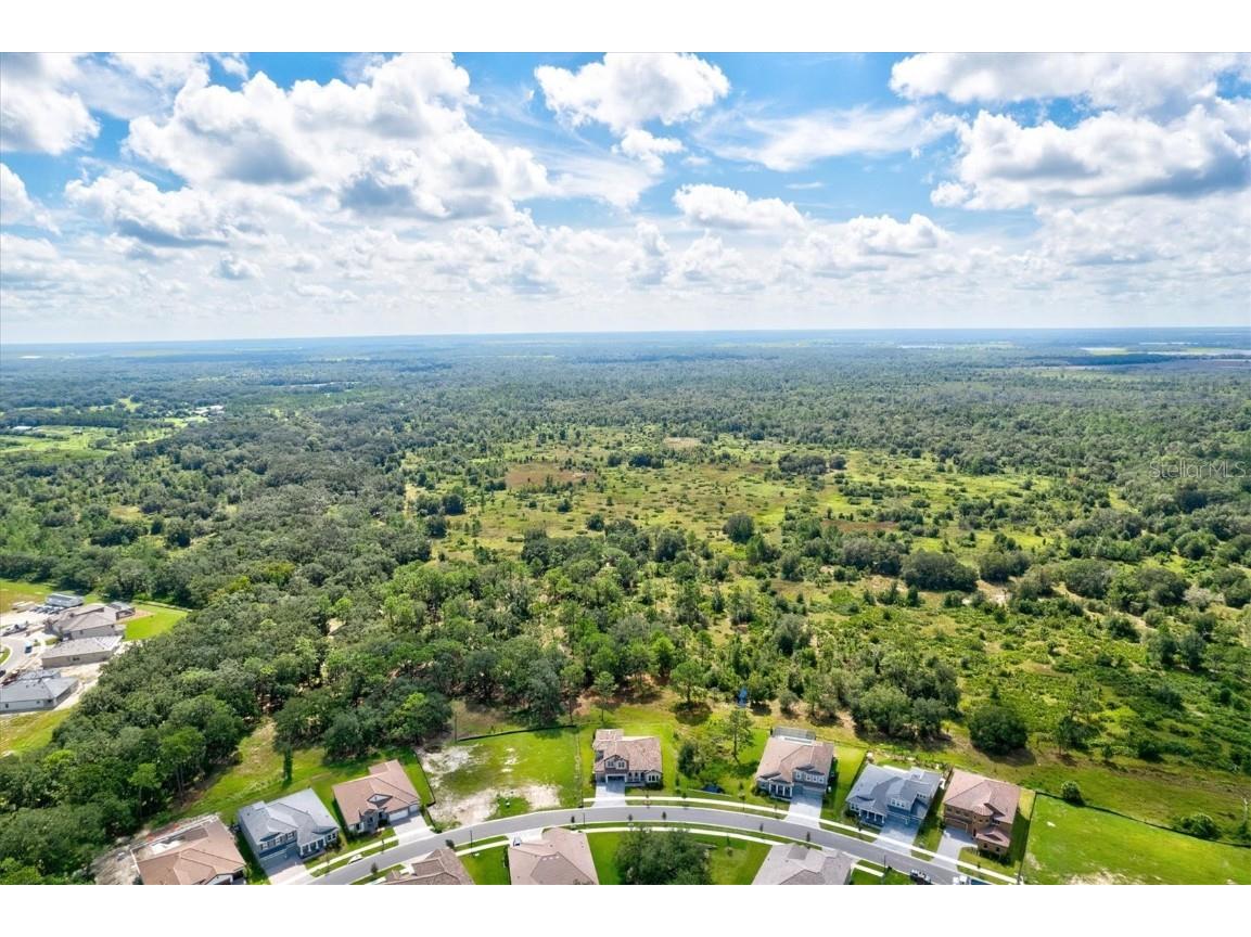 14607 Swiss Bridge Drive Lithia FL 33547 A4625127 image85