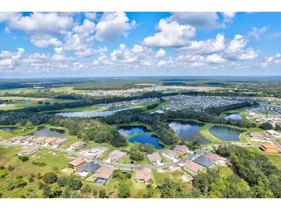 14607 Swiss Bridge Drive Lithia FL 33547 A4625127 image87