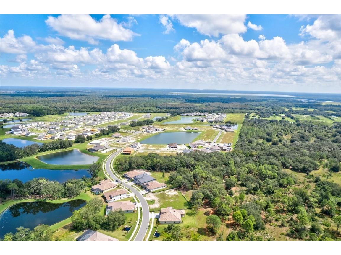 14607 Swiss Bridge Drive Lithia FL 33547 A4625127 image88