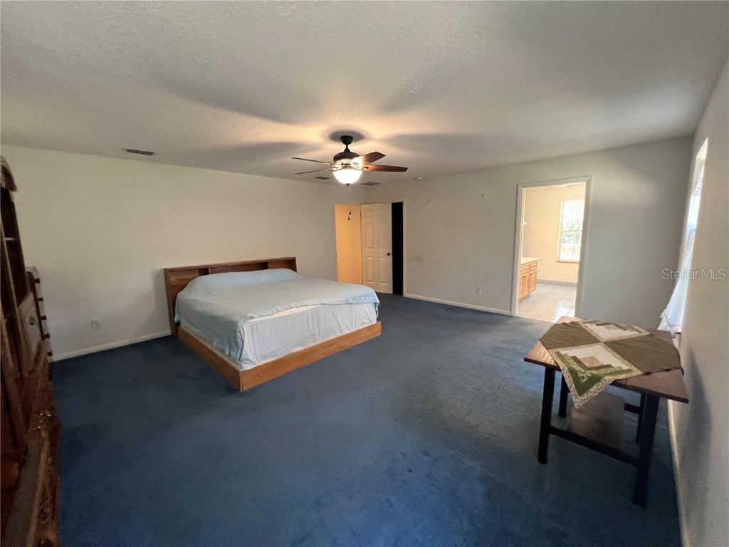 14609 SE 155th Street Weirsdale FL 32195 OM712265 image11