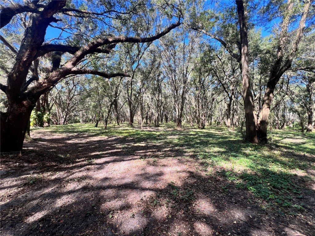 14609 SE 155th Street Weirsdale FL 32195 OM712265 image24