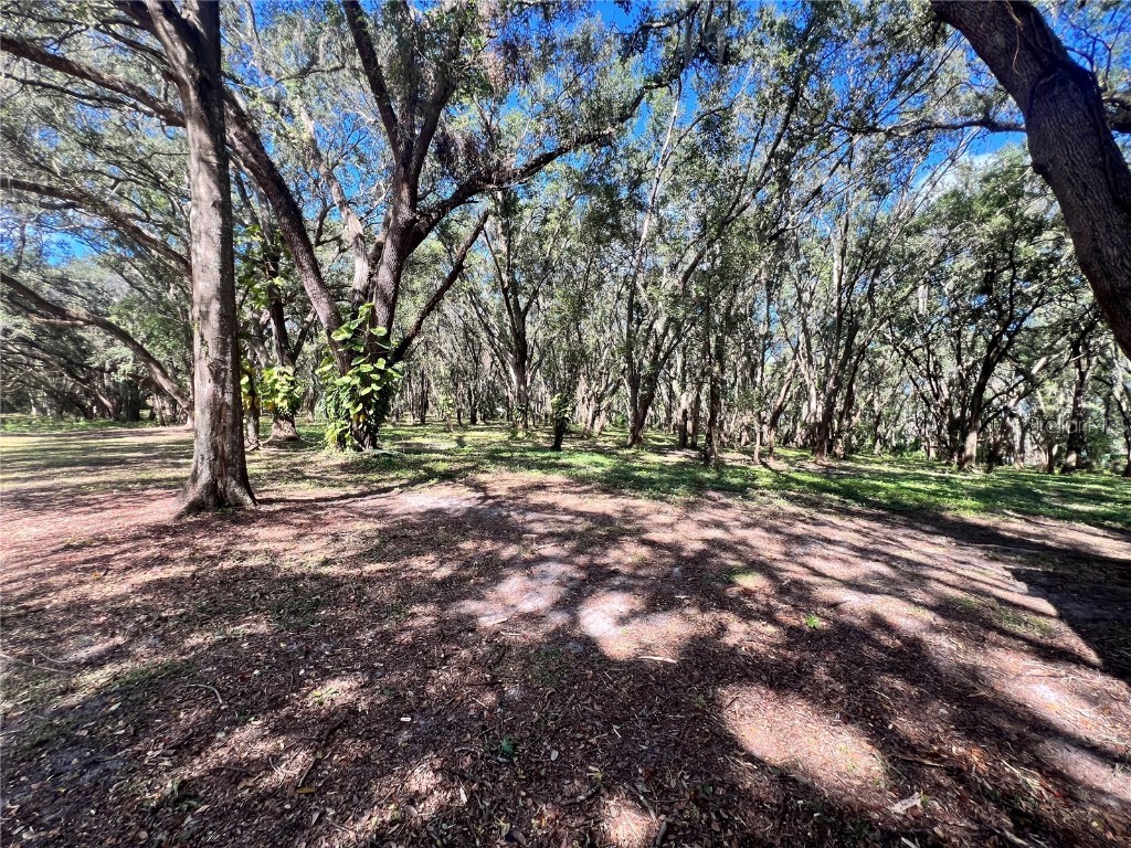 14609 SE 155th Street Weirsdale FL 32195 OM712265 image25