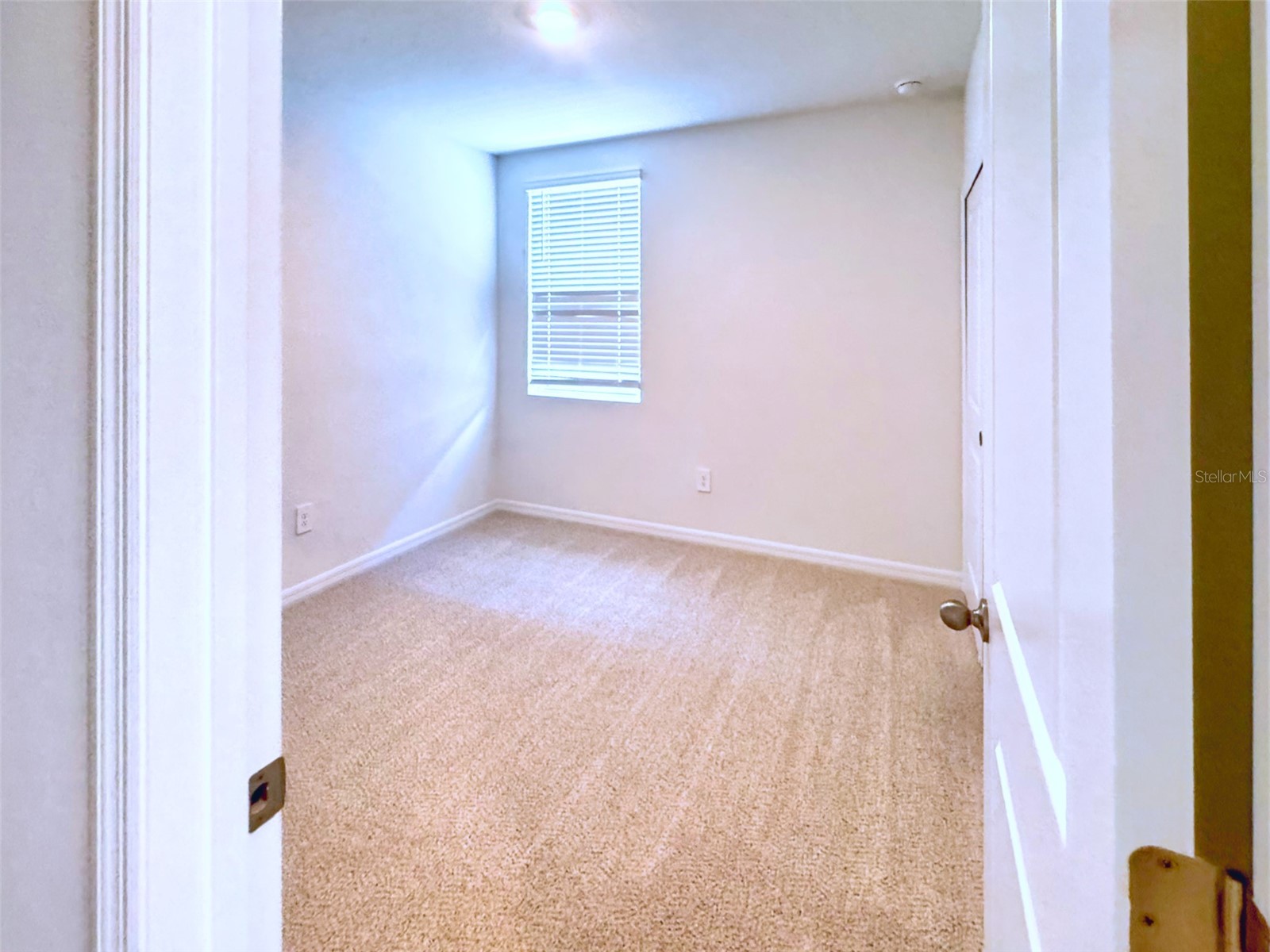 1461 Brekey Way Zephyrhills FL 33541 O6422317 image12
