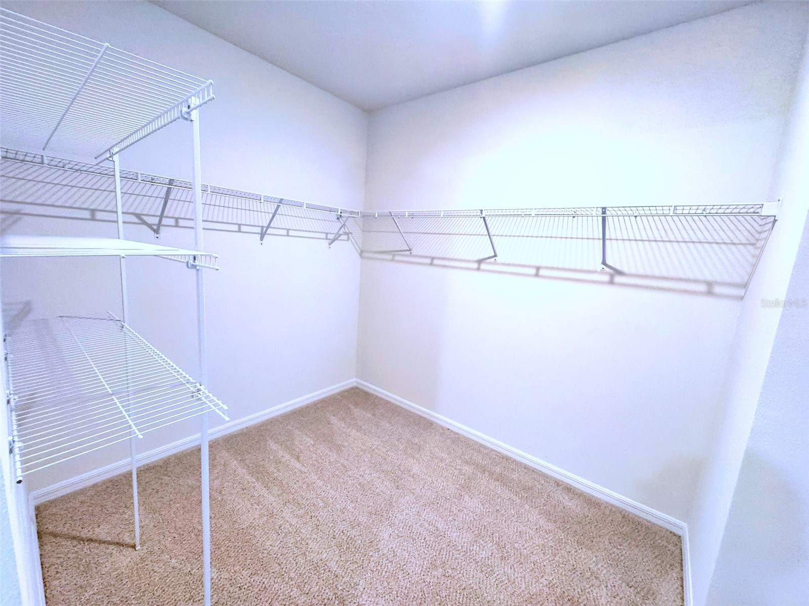 1461 Brekey Way Zephyrhills FL 33541 O6422317 image22