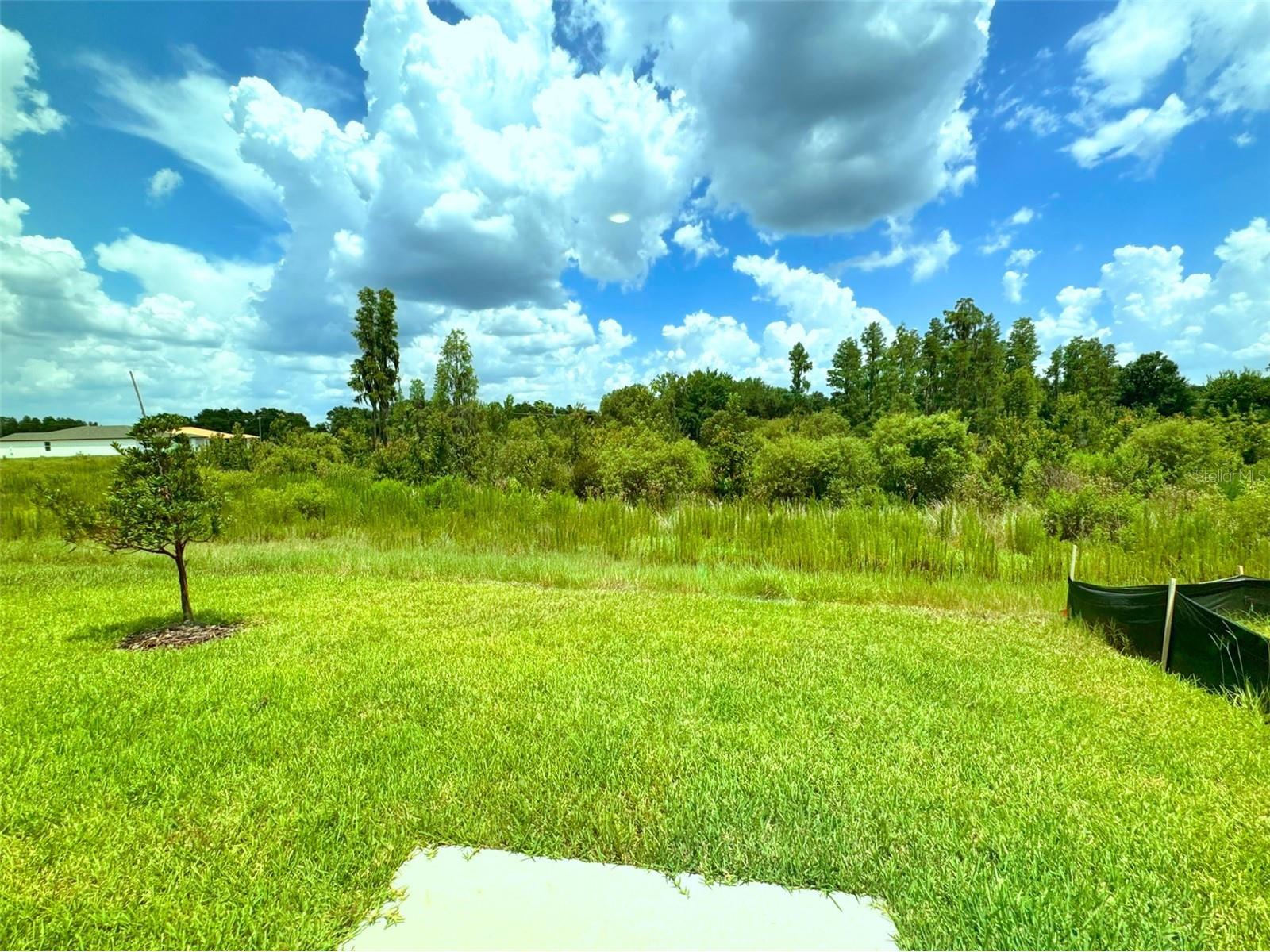 1461 Brekey Way Zephyrhills FL 33541 O6422317 image25