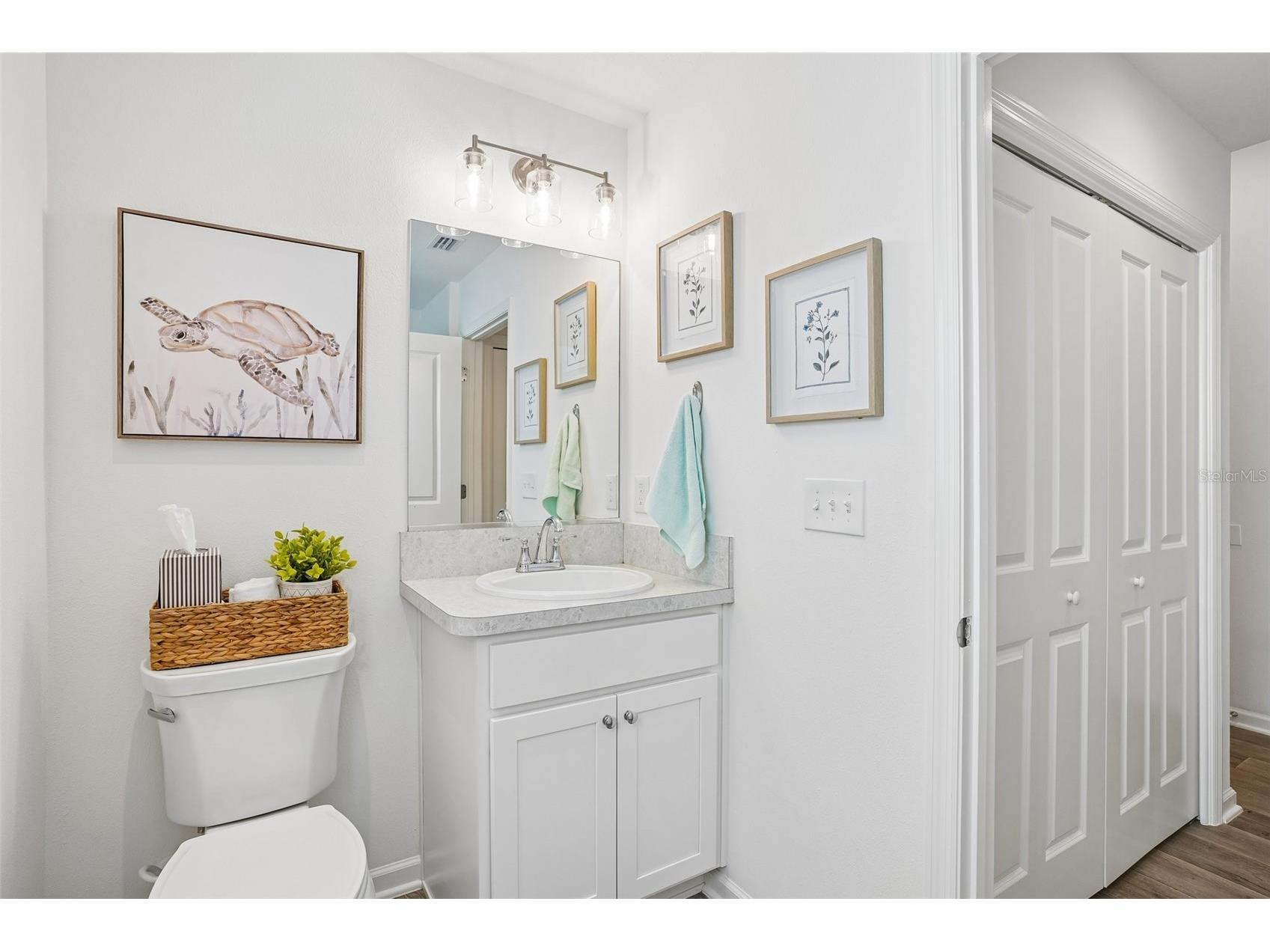 1461 Emma Place The Villages FL 32163 G5112729 image29