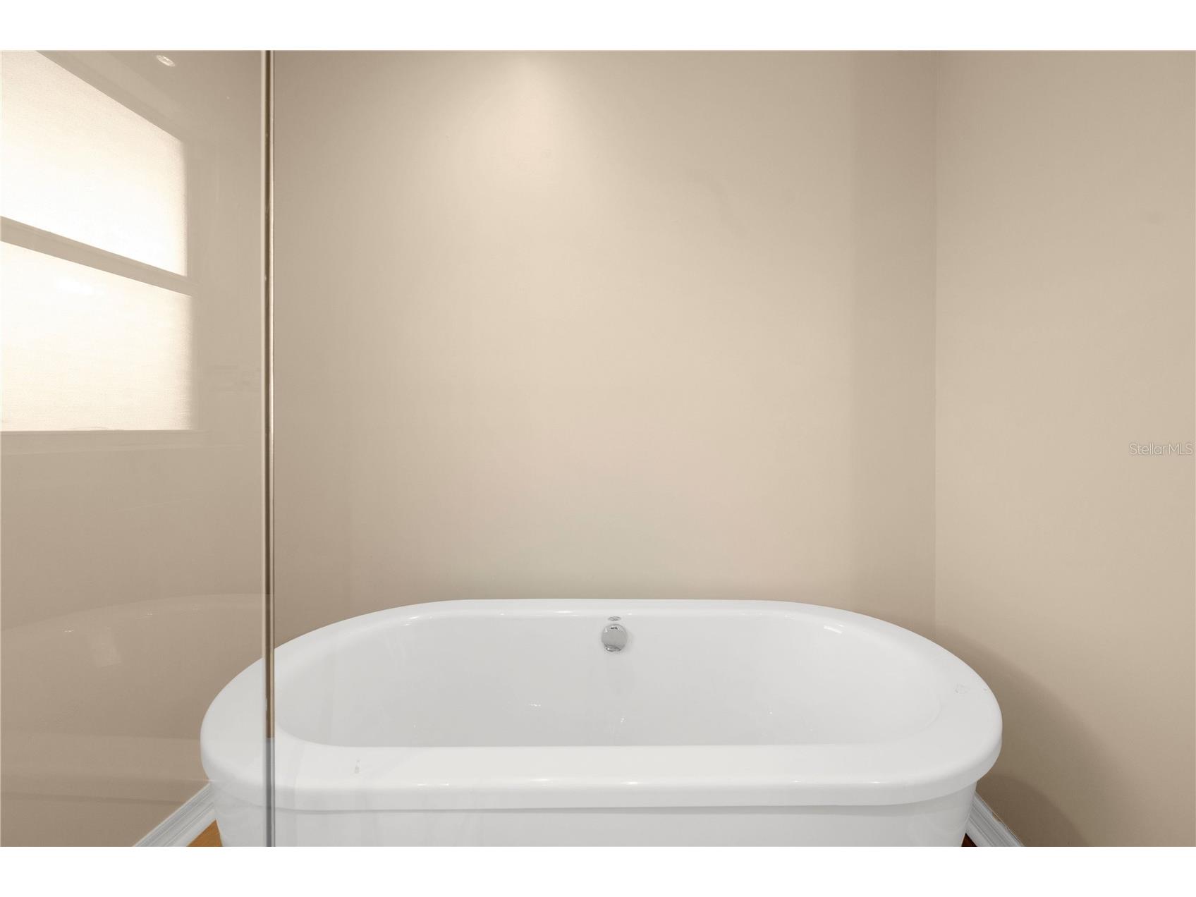 1461 Lake Shore Ranch Drive Seffner FL 33584 O6395520 image20