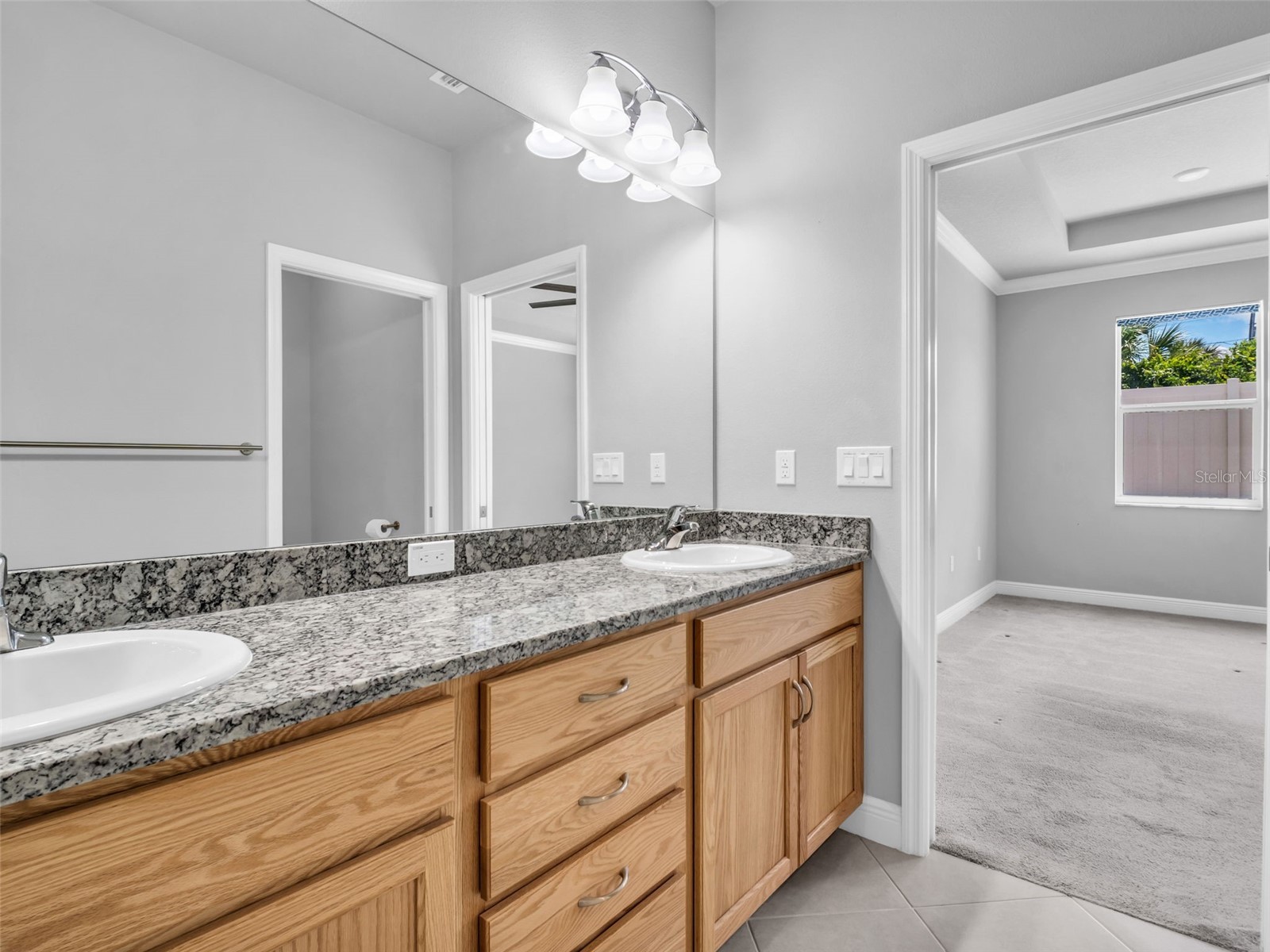 1461 N River Circle Tarpon Springs FL 34689 TB8508565 image21