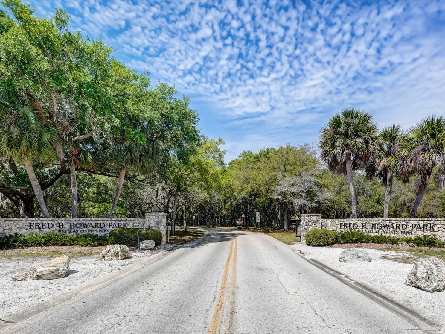 1461 N River Circle Tarpon Springs FL 34689 TB8508565 image59