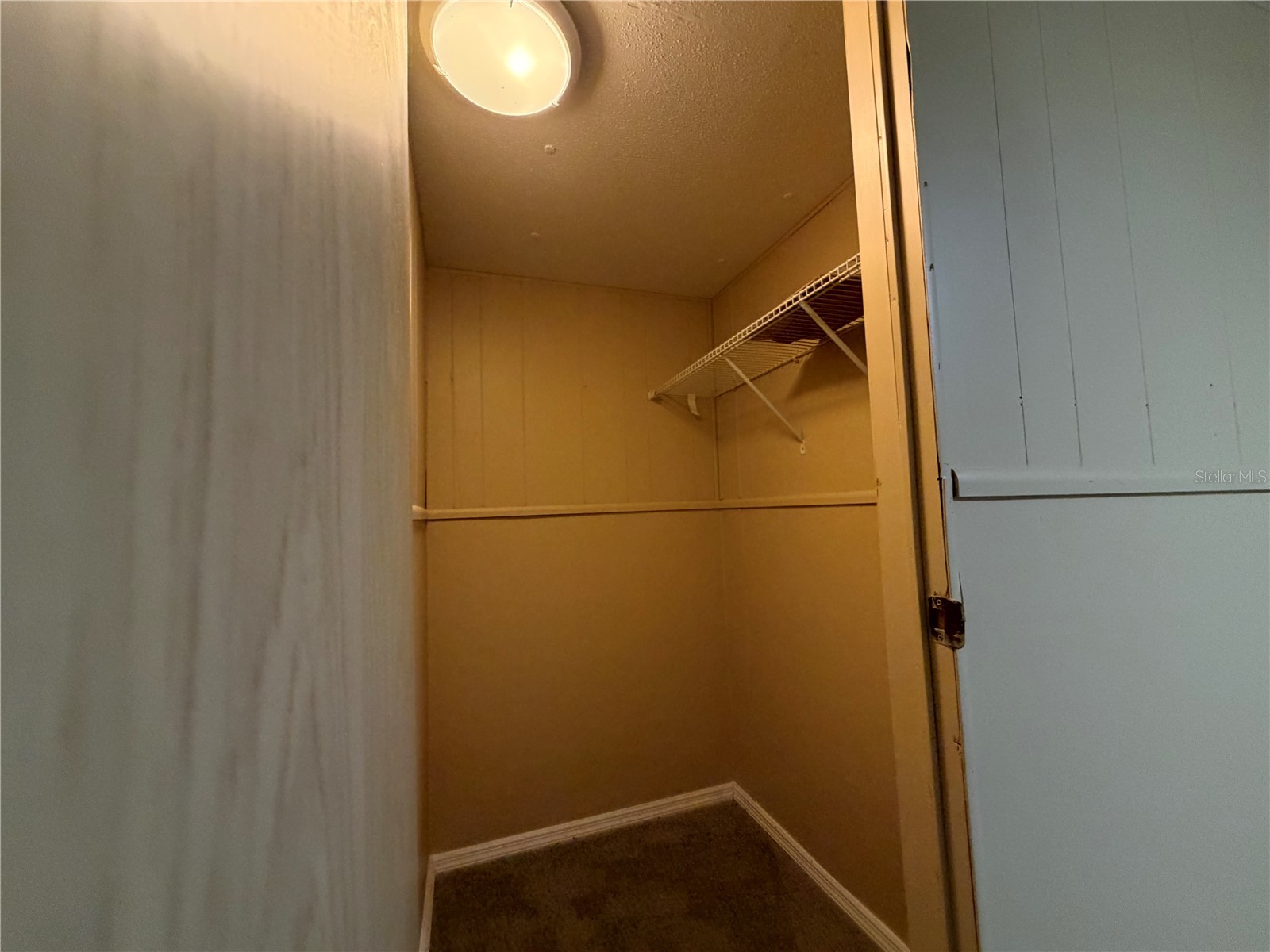 14610 Coral Drive Hudson FL 34667 - Canal TB8494163 image26