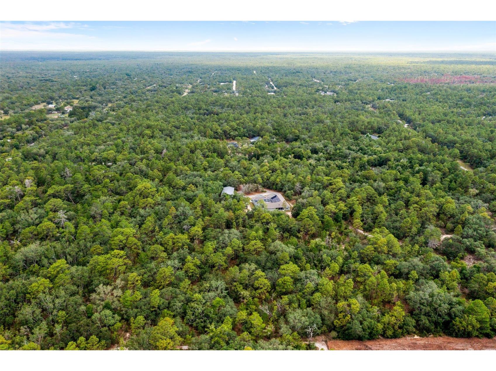 14610 Hidden Deer Trail Brooksville FL 34614 TB8523986 image78