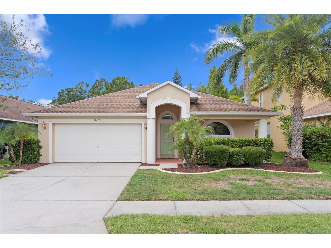 14612 Corkwood Drive Tampa FL 33626 TB8390805 image1
