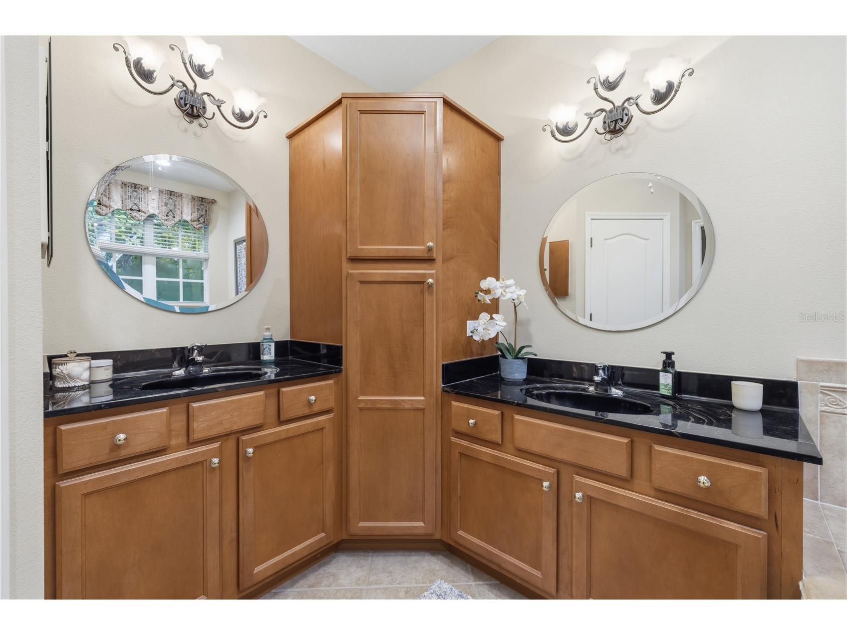 14613 Mirabelle Vista Circle Tampa FL 33626 TB8526452 image17