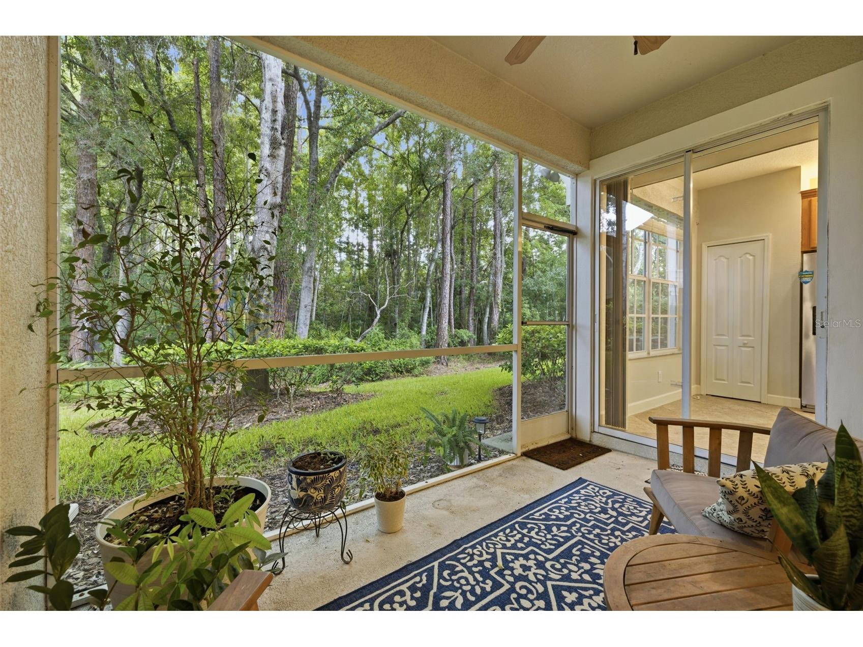 14613 Mirabelle Vista Circle Tampa FL 33626 TB8526452 image24