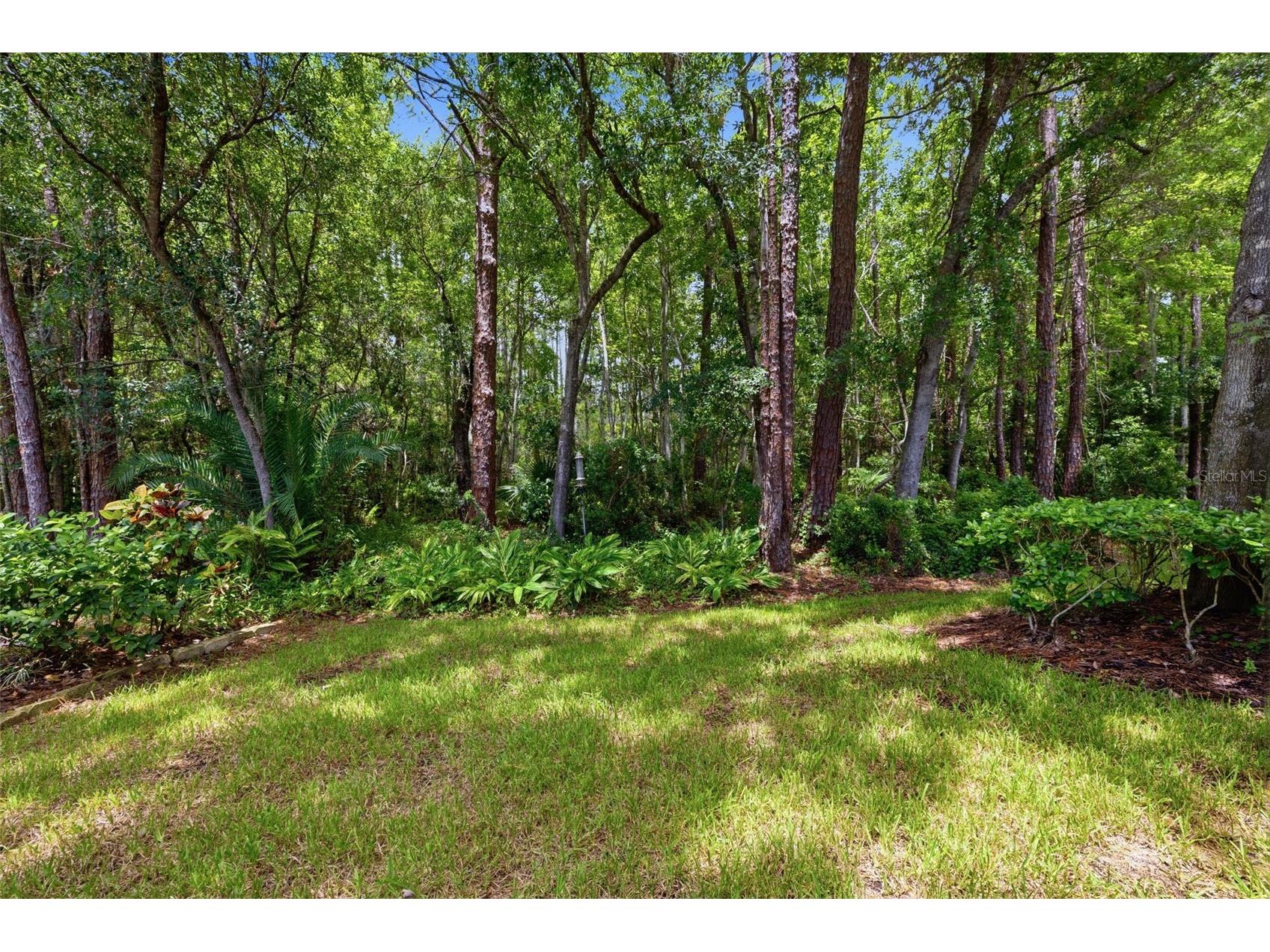 14613 Mirabelle Vista Circle Tampa FL 33626 TB8526452 image25