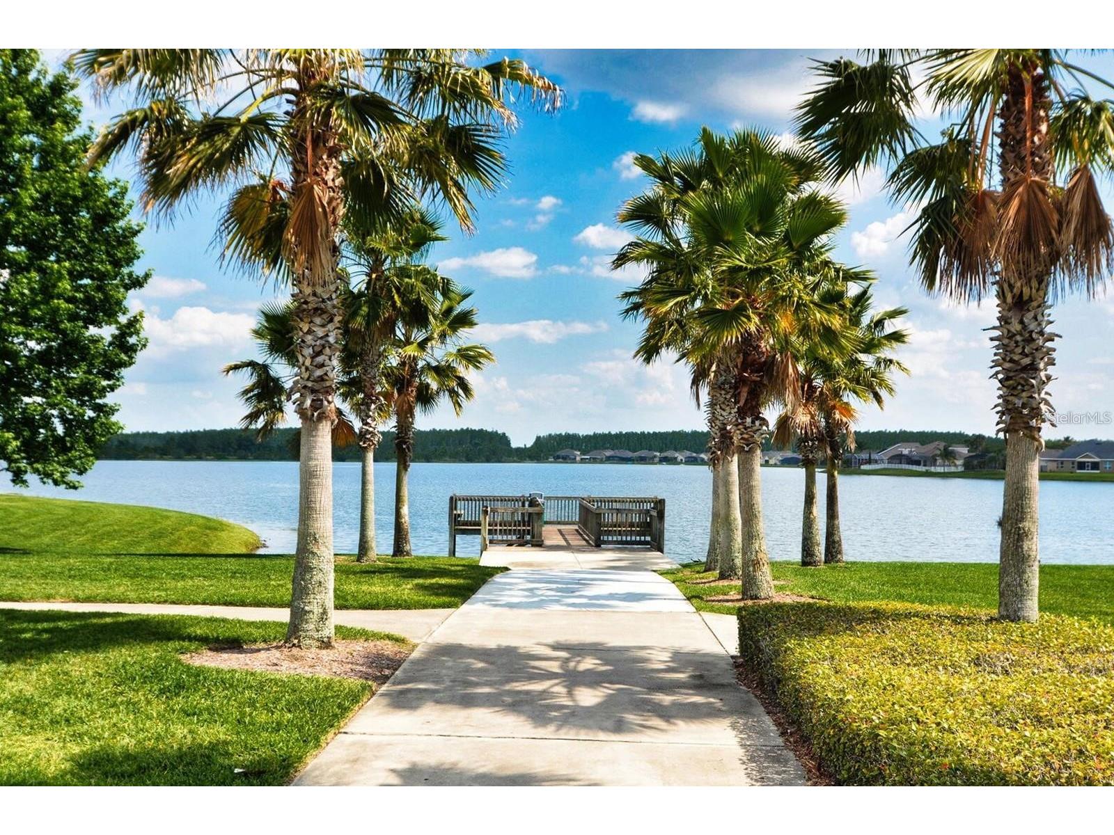 14614 Grand Cove Drive Orlando FL 32837 O6414073 image42