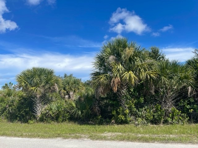 14615 Lillian Circle Port Charlotte FL 33981 C7466241 image1